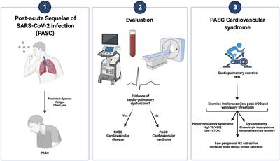 Exercise Intolerance in Post-Acute Sequelae of COVID-19 and the Value of Cardiopulmonary Exercise Testing- a Mini-Review